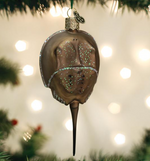Horseshoe Crab