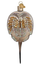 Horseshoe Crab